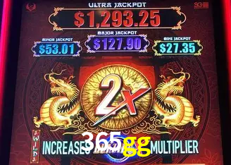 365gg Curitiba - Live Status